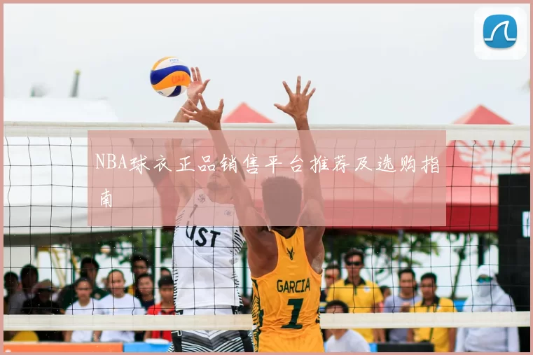NBA球衣正品销售平台推荐及选购指南