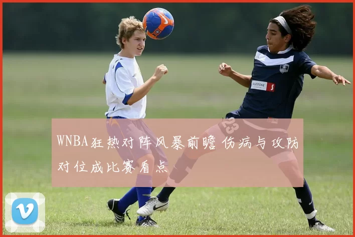 WNBA狂热对阵风暴前瞻 伤病与攻防对位成比赛看点