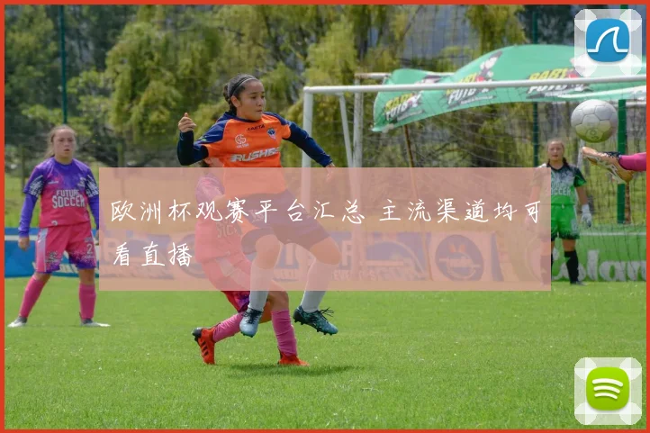 欧洲杯观赛平台汇总 主流渠道均可看直播