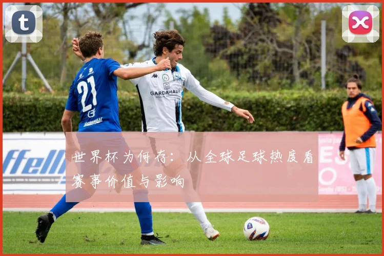 世界杯为何存：从全球足球热度看赛事价值与影响
