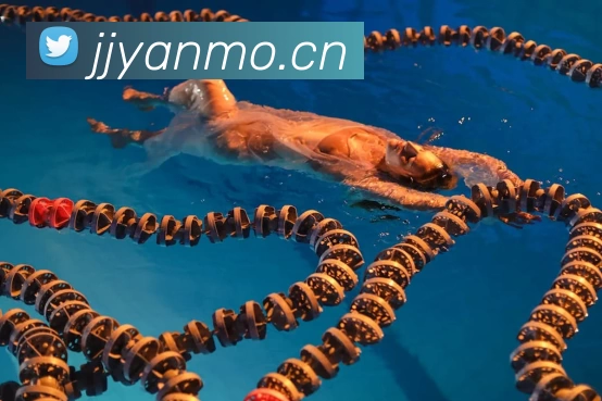 beat365·(亚洲版)官方网站服务体系